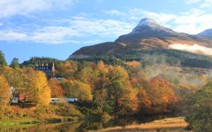 a mountain in the middle of a forest with a river at Holly Tree Cottage in Glencoe