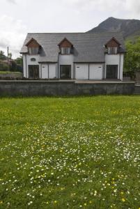 dom z polem kwiatów przed nim w obiekcie No.2 Quarry Cottages w mieście Ballachulish