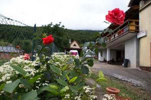 a garden with red roses in front of a building at Apartmani Ruza in Krasno Polje