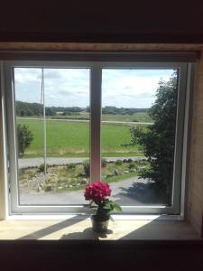 ein Fenster mit einer Vase aus Blumen auf einem Fensterbrett in der Unterkunft Nilles bed & breakfast in Ølgod
