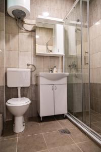 uma casa de banho com um WC, um lavatório e um chuveiro em Bogoljubova vinska koliba em Vrdnik