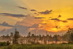 a sunset over a field with trees and clouds at Boarding & HOUSE T24 in Bad Wurzach