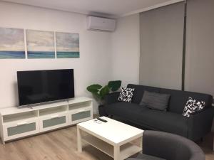 a living room with a black couch and a tv at Garden Turia Downtown in Valencia