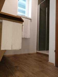 uma casa de banho com um chuveiro e uma janela em Dorf-Zimmer Mirth em Eltendorf