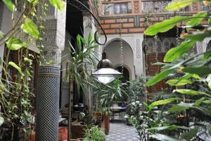 Zahrada ubytování Riad Al Bartal