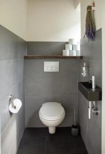 a bathroom with a white toilet and a sink at Lavender Lodge in Achthuizen +18 photos