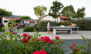 Domaine Chalets Larlapean外面的花园