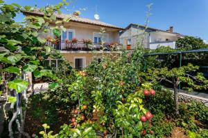 un giardino con alberi di mele di fronte a una casa di Apartmani Jelica a Krk