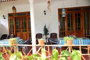 Fotografie z fotogalerie ubytování Secret Nest Homestay v destinaci Ella