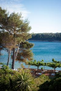 a view of a beach with trees and a body of water at Hotel Villa Barbat in Rab