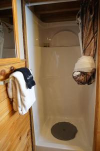 Tiny House Leadville Colorado的一间浴室