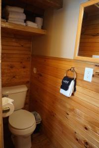 Tiny House Leadville Colorado的一间浴室