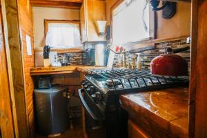 Tiny House Leadville Colorado的厨房或小厨房