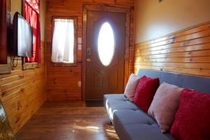 Tiny House Leadville Colorado的电视和/或娱乐中心