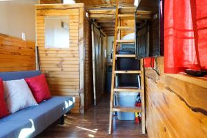 Tiny House Leadville Colorado的休息区