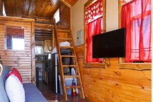 Tiny House Leadville Colorado的电视和/或娱乐中心