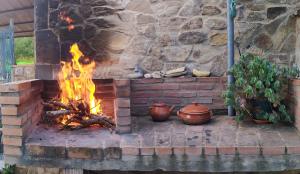 Fotografie z fotogalerie ubytování Tulpa Cádiz v destinaci Malcocinado