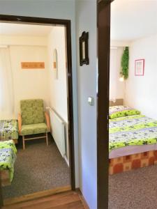 sypialnia z łóżkiem, krzesłem i lustrem w obiekcie APARTMÁN BERAN w Rokitnicach nad Izerą