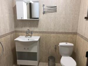 La salle de bains est pourvue de toilettes, d'un lavabo et d'un miroir. dans l'établissement Family Hotel Ginger, à Pamporovo
