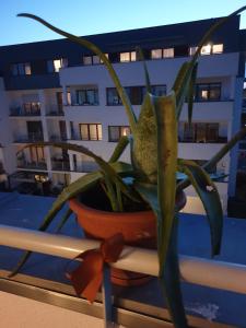 Balkón alebo terasa v ubytovaní Apartament Reda