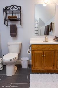 een badkamer met een toilet, een wastafel en een spiegel bij Mama Bears Blue Bungalow in Asheville