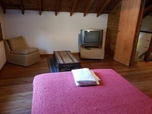 Una sala de estar con un sofá y un televisor. en La Gringa, un espacio único en el medio del bosque, en Mar de las Pampas
