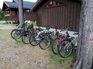 a group of bikes parked next to a building at Tron Ungdomssenter in Tynset