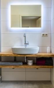 a bathroom with a sink and a mirror at Ferienwohnungen im Gasthaus Zur Grünen Wiese in Sebnitz