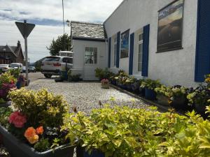a bunch of plants in front of a house at Ladysmith Guest House in Ullapool