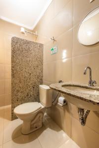 La salle de bains est pourvue de toilettes et d'un lavabo. dans l'établissement Pousada Do Rio Barreirinhas, à Barreirinhas