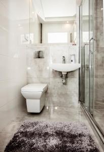 uma casa de banho com um WC, um lavatório e um chuveiro em Super komfortowe mieszkanie - MTB Narty Góry Sowie em Dzierżoniów