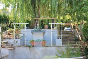 オルヴィエートにあるAgriturismo Podere Pescaraの階段としだれ柳の木がある庭園