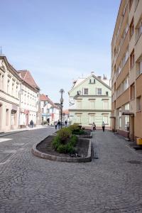 una calle adoquinada en una ciudad con edificios en Super komfortowe mieszkanie - MTB Narty Góry Sowie en Dzierżoniów