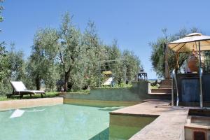 a swimming pool with a bench and an umbrella at Agriturismo Podere Pescara in Orvieto
