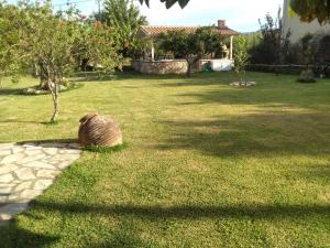 A garden outside Casa memories