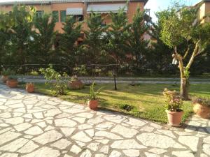 A garden outside Casa memories