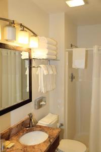 uma casa de banho com um lavatório, um WC e um chuveiro em The Riverside Ranch Motel and RV Park Southern Utah em Hatch