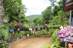 Photo de la galerie de l'établissement Secret Nest Homestay, à Ella