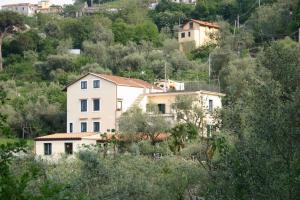 ein Haus an der Seite eines Hügels mit Bäumen in der Unterkunft Gli Ulivi Agriturismo in Sant'Agnello