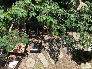 Taman di luar Wang Jiang Reclusive Boutique Inn