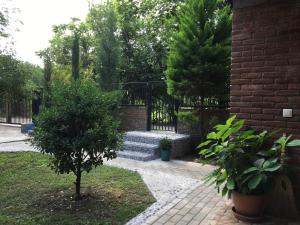 Jardí fora de Guest House Shekvetili