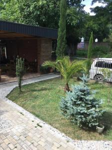 Jardí fora de Guest House Shekvetili