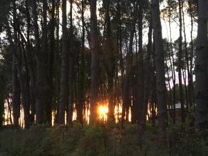 Sortida o posta de sol des de l'hostal o pensió