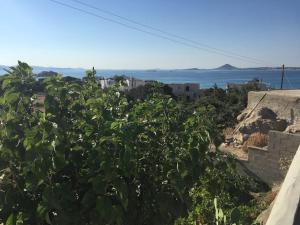 Táj az apartmanhotel közelében