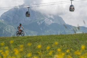 Foto dalla galleria di Gästehaus Jank a Presseggersee