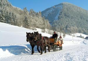 zwei Personen, die in einer Pferdekutsche im Schnee reiten in der Unterkunft Am Ferienbauernhof Schmiedbauer com Salzkammergut in Faistenau