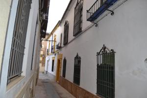un callejón con paredes blancas y puertas y ventanas negras en Apartamento Córdoba Mezquita, en Córdoba