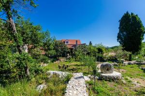 Maranovići的住宿－Apartments Korita，一个带长凳和树木的花园以及一座建筑