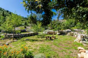 a park with a bench in the middle of a field at Apartments Korita in Maranovići