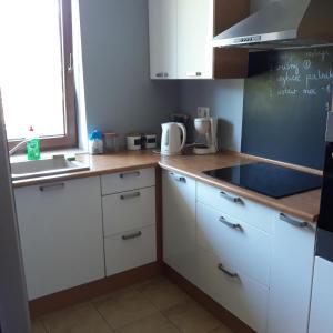 Kuchyňa alebo kuchynka v ubytovaní Pokoje Gościnne Maczek